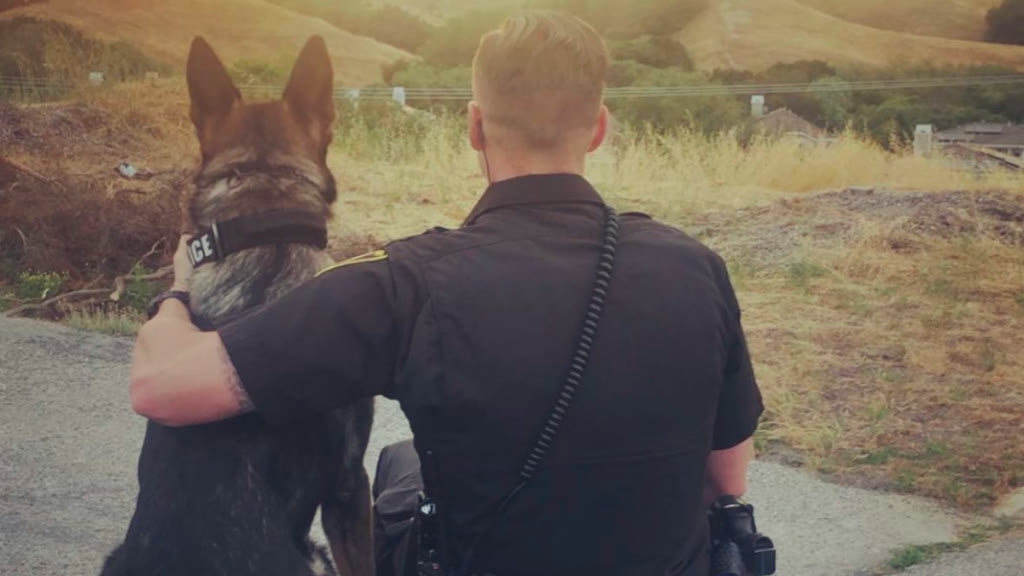Owner training with their dog