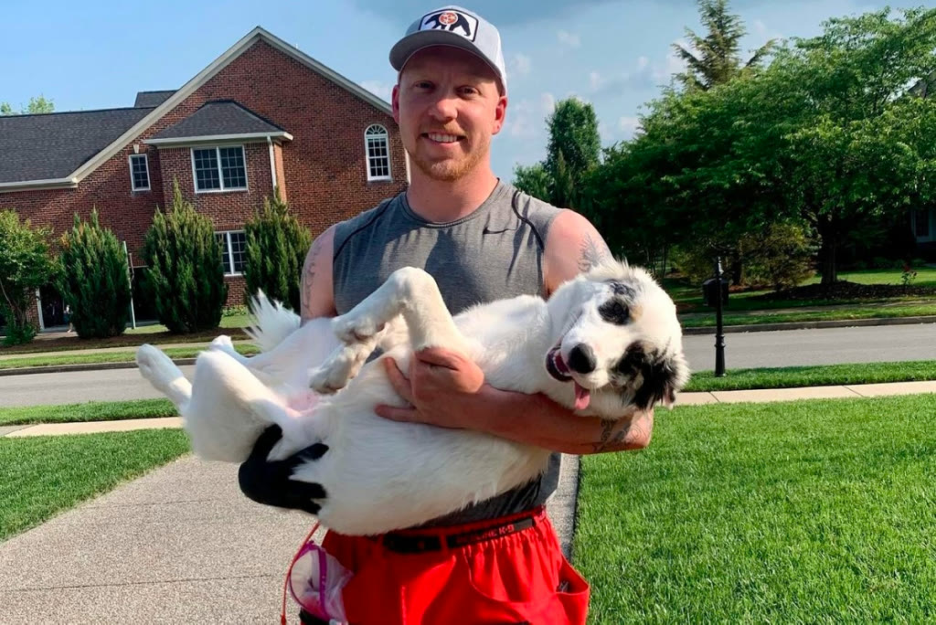 Puppy Training